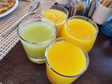 �����, ������� ��� ����������: ������ �������-�������� ������� ��������