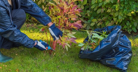 ������� �������� ����� �� �������: ��� ����� �����