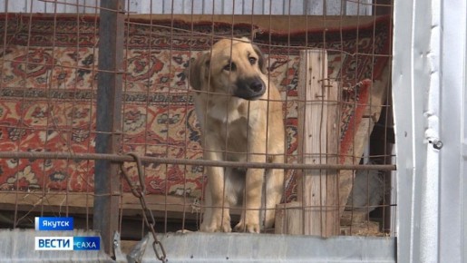 ����� 40 ����� ����� ���������������� ������������ ������ ������ � 2025 ����