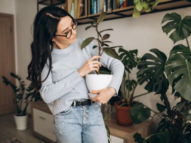 �������� � ������? �������� ������ � ��������� �������!