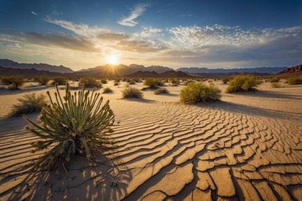 ��� ���� ����� ������ �����: ������ ������ �������