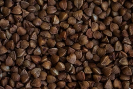 ���� ������ ������ ������: 4 �������� ���������� ������������� ��������