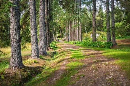 ������������ ��� �� ��������: ����� �������� � �������� ������������ ���