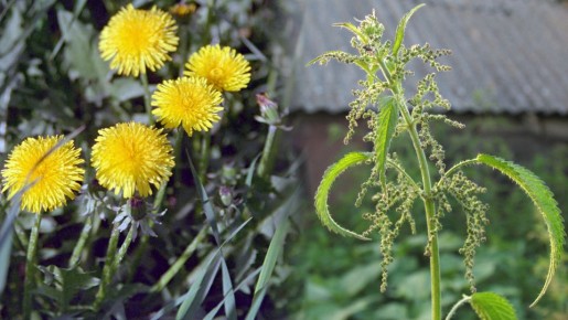 ������� � ��: ��� ����� ����������� �� ��������� ��������, �������� ���-�����