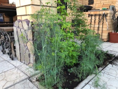 �����: �������� �������, ������� ������ ���������