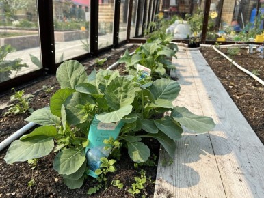 ��������� �������: ������� ������� ��� ���������� ������