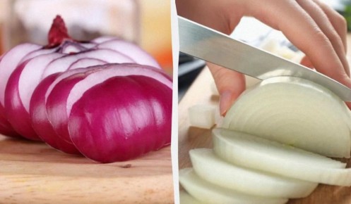 ���: ������ ������, �� ������� ���� ���� ������ ����� ������ ������ �������