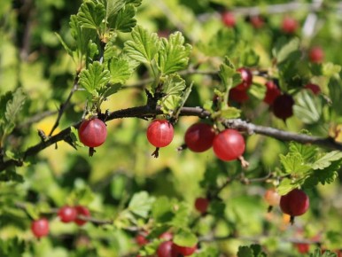 ���������: ������� ����� ��� ������� � ������� ����