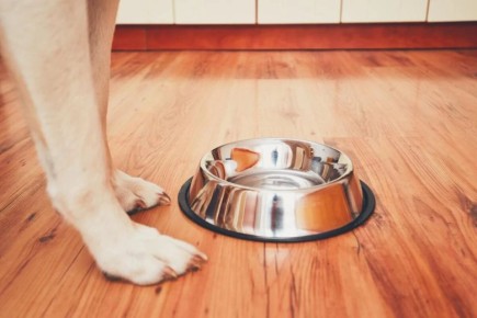 ���-7 ������� ��������� ��� �����