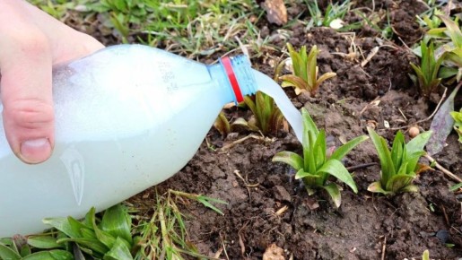 ��� �������� ��������� ������� ���� ����� ���������� �������� ����