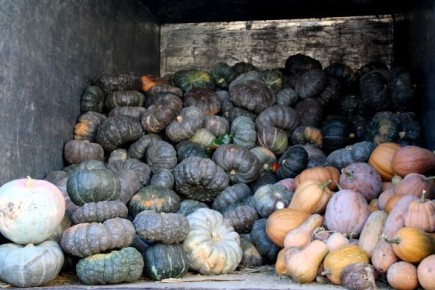 ��� ������� ��������� ����� � ������������ � ��� ���������