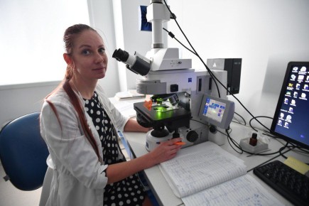 �������� ������ ��������� �������������� � ������� �������� ����� �����������