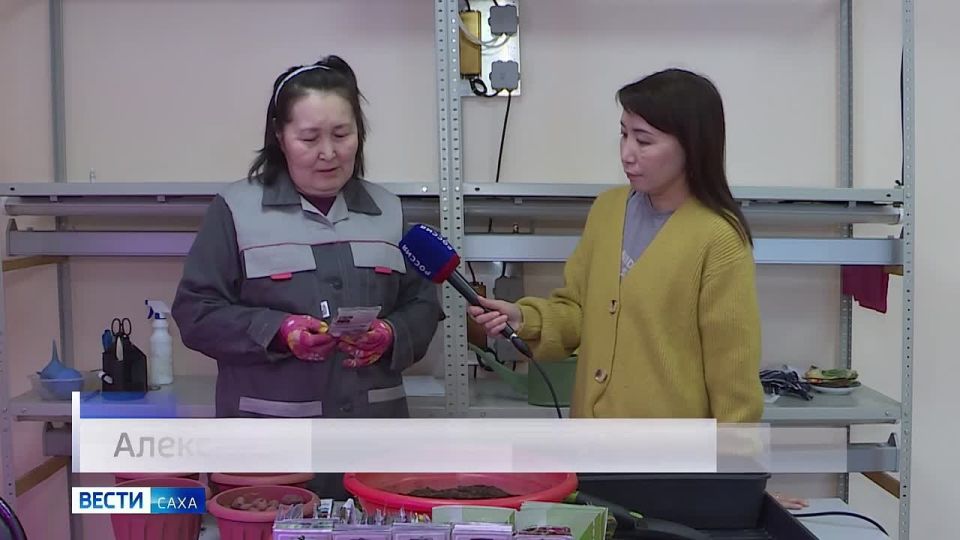 ������� ���������� ���� ���