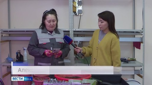 ������� ���������� ���� ���