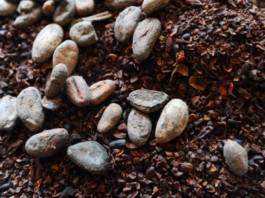 ���� �� �����-���� �������� �������: ��� ��� ��������� �� �����?