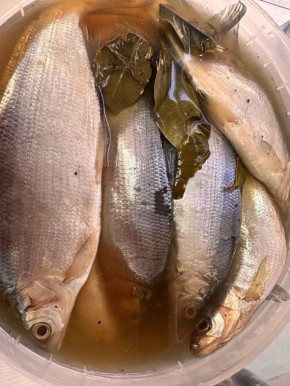 ������ ������� ������� � ������ �� ����� ������ ���������� ������ ������� ������