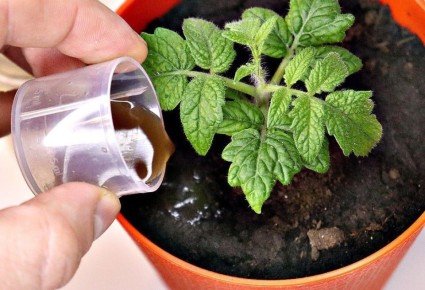 ����������� ��������� ��� ������� �������: ������� ��������� �����