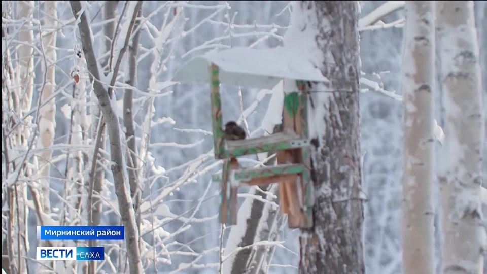 ������ ���������� ���������� �� ������ �������