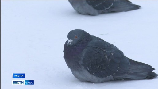 6 �������. ���� � ������� - ����, �������