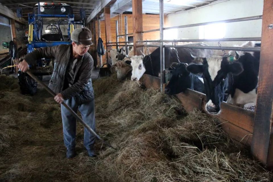 ������ ������: �������� ����� �������� �������� �� �������������� ����� ��������� ������