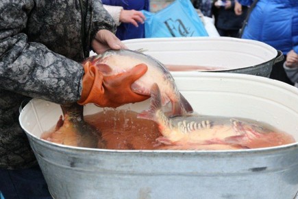 ����� �� �����, ���� � �������