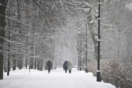 ����, ����� � ������� �����