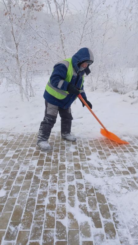 ������ ������������� ��������� �� ������ ������������ ����������