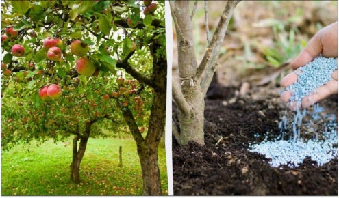 ��� ����������� ������ � ���� ��� �������� ������