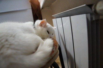 ������ ���������� ����� ��� ���������� ����� � ���������