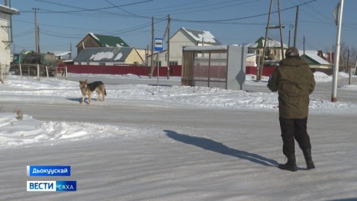 ���������� ������ �������������� �� ����� ������ ����-������� ���� �� ������� ��������