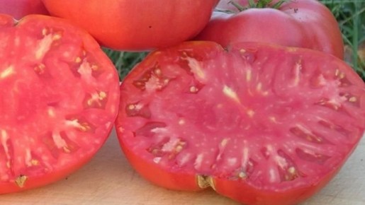 ��� ������� ���� ��������� �� �������: ���� ���������� ������������