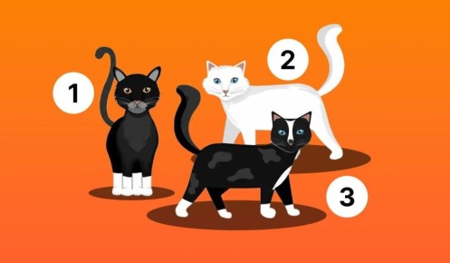 ����� ������� � ��� �����: ���� �� ��� ��������