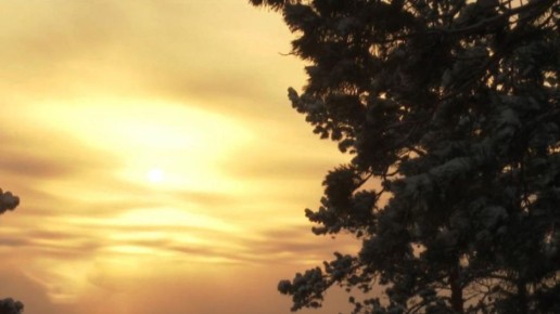 ������� ������ � ������� �� 12 �������