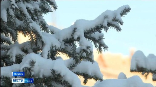 ������� ������ � ������� �� 13 �������