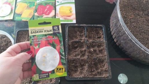 ����������� ��������� ����� �������, ������ � ���������� ��������������