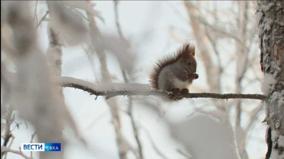 13 �������. ���� � ������� - ����, �������