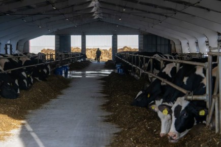 � �����-������������ ����� �������� �������� � 2027 ����