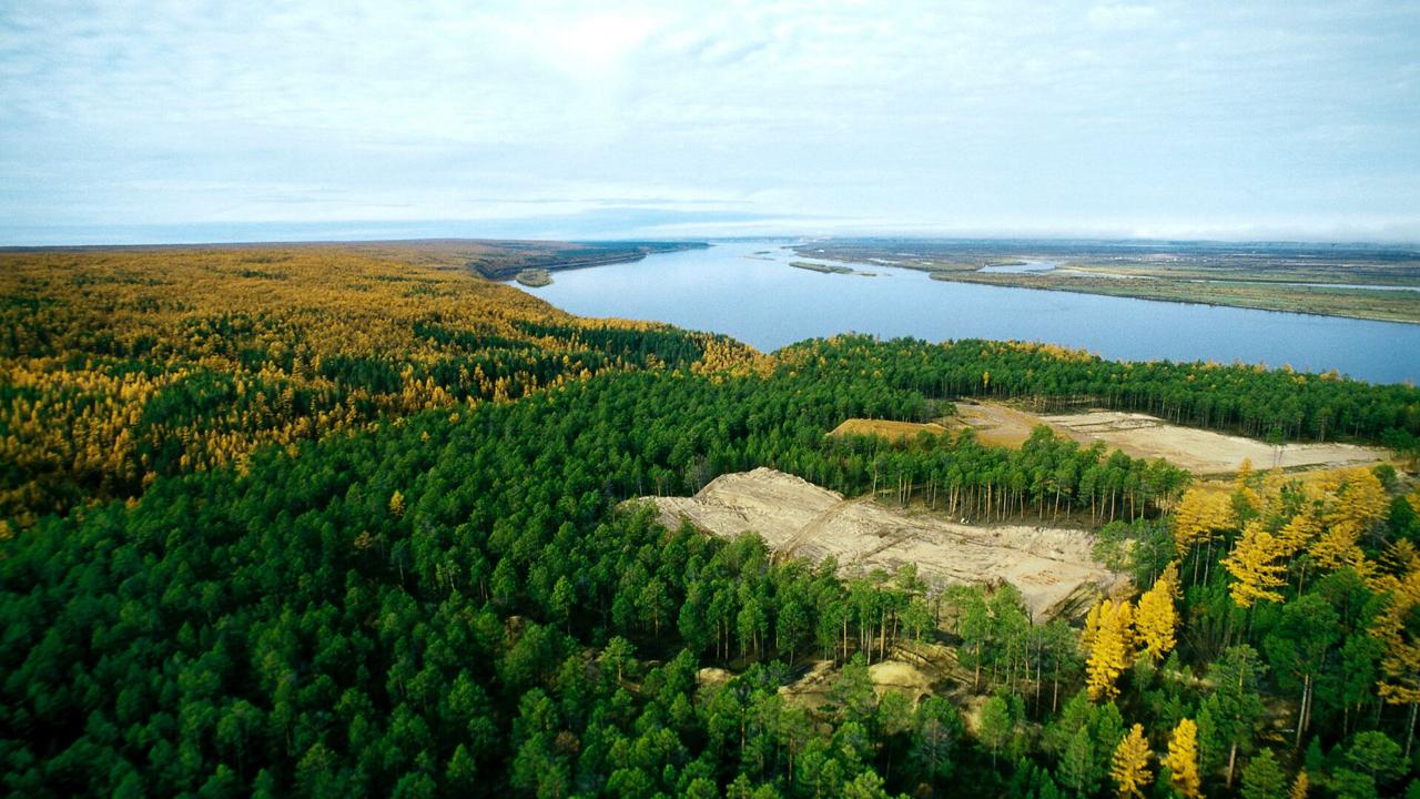 1 В Якутии в 2026 году на охрану лесов от пожаров направят 5,5 млрд рублей