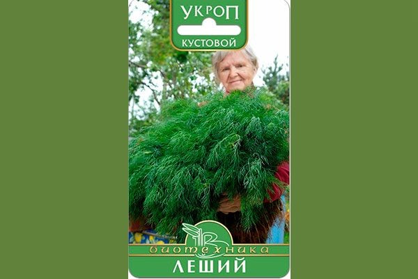 Тонкости выращивания укропа Леший