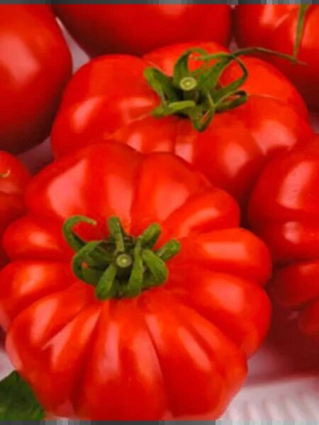 Томат Рубиновые дольки: изюминка в вашем огороде