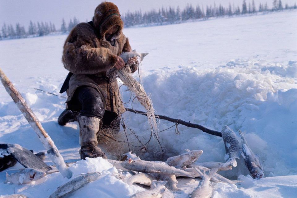 ��� ���� ������ �������� ���������������� ������� ������������� �����������