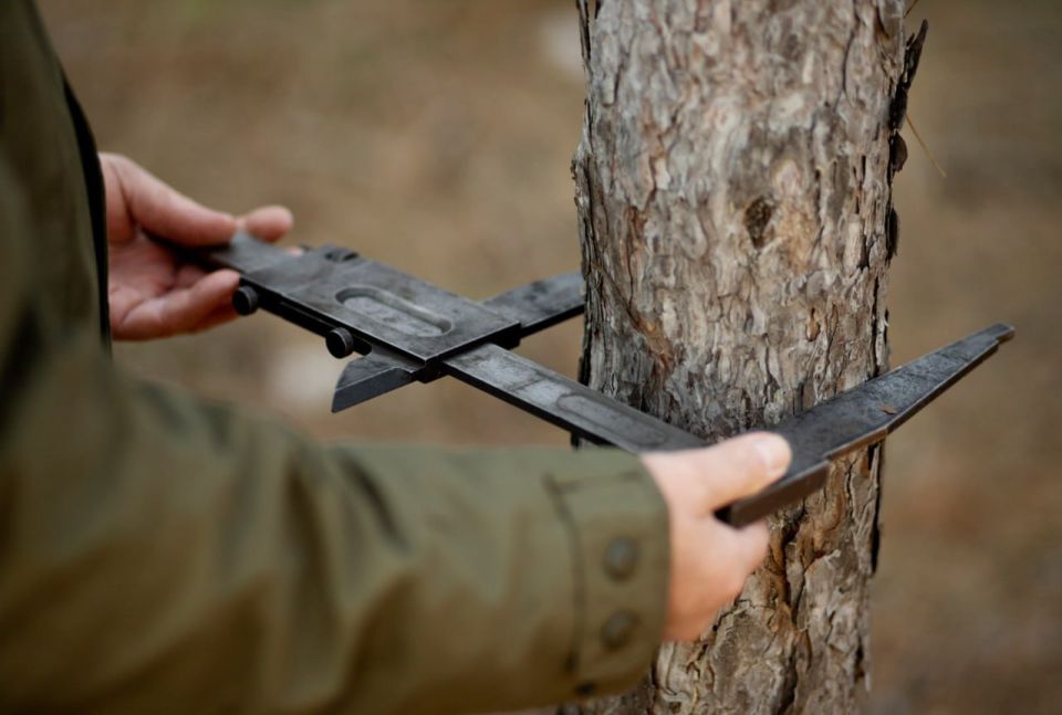 ������� � ������� �������� � �������: ��� ����� �����?