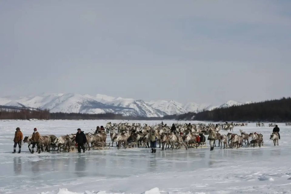 ���������: ��� ����� ������ ����� ���������������� ���������� � ��������������� �������� �����������?