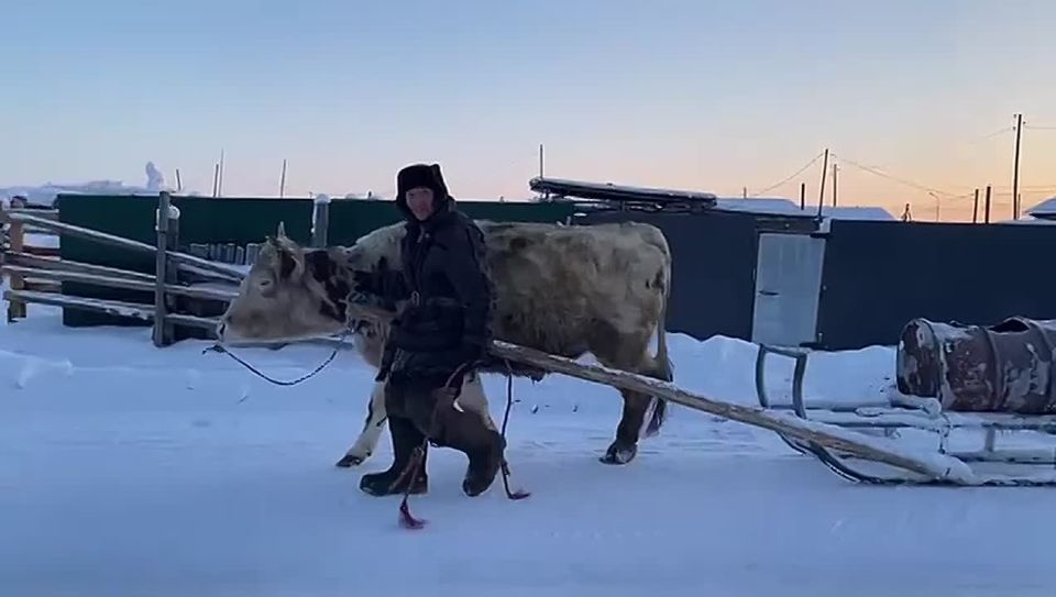 �������� ��������, ������������ �������� ���������� �������� �� ���� ���� ����� �� ����� ���� ����� �������������� ����������