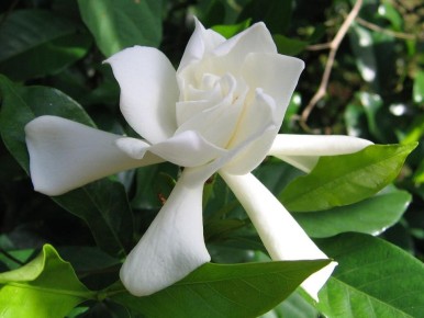 ��������: ����� ��������� ������� ��� ������ ����