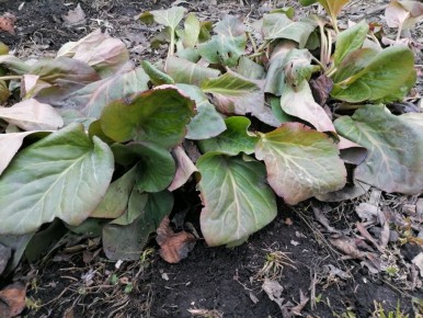 �������� ��� � �������: ������� ����� � �������������