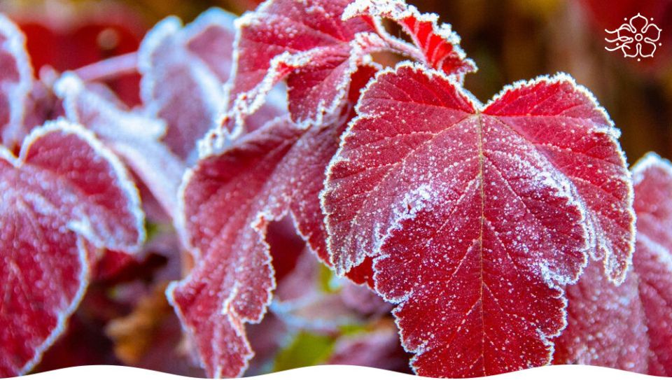 ��� ��������� �������� �����: �������� ������ �� �������