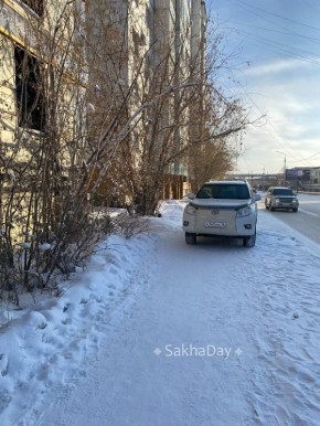 �������� �� ��������. SD ������� ������ | �������� ������� | ��/MAX