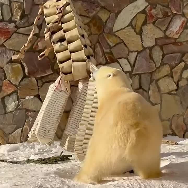 Хаарчаана уничтожила чучело Зимы