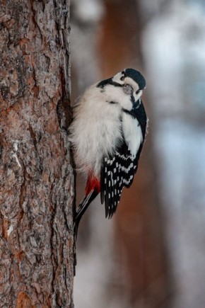 ������ ����, ������. ����������� ���� � ����������! �������, 22 �������, � ������������� � ��������� ������� ��������� �������� ��������� �����